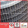 aviary cage wire mesh